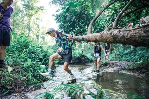 BIB: 
                            <button type="button" onclick="openModal(25432662)" class="btn btn-primary btn-sm float-right btn-popup" data-toggle="modal" data-target=".modal-high-quality">
                        <i class="fas fa-shopping-cart"></i> Add to Cart
                    </button>
                                            <button type="button" onclick="isThisMe(25432662, true)" class="btn btn-success btn-sm float-right btn-popup btn-isme hidden" data-toggle="tooltip" data-placement="bottom" title="นี่คือรูปของคุณใช่ไหม คลิกที่นี่เพื่อเอาเข้าอัลบั้ม">
                        <i class="fas fa-plus"></i> Add to album
                    </button>
                    <button type="button" onclick="isThisMe(25432662, false)" class="btn btn-warning btn-sm float-right btn-popup btn-isnotme hidden">
                        <i class="fas fa-ban"></i> Remove from album
                    </button>